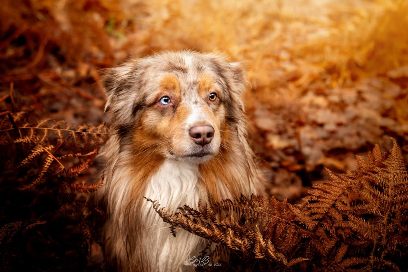 Poker Des Légendes Vroulonnes